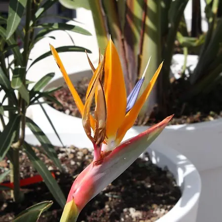 Le Marinelle Aff Trani