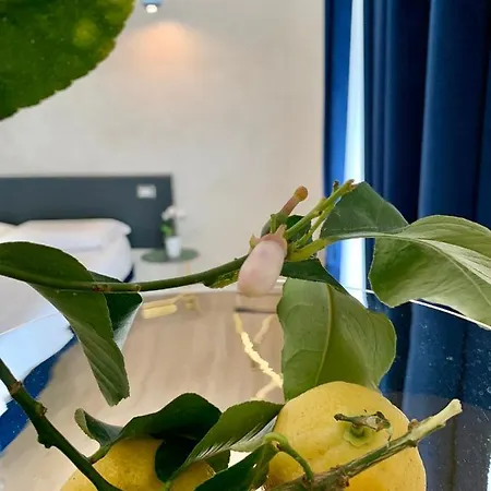 Le Marinelle Aff 4* トラーニ