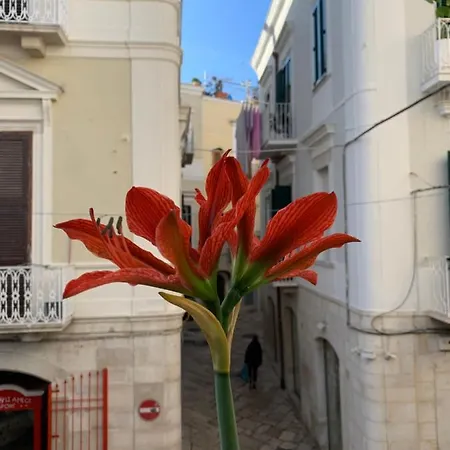 Le Marinelle Aff Panzió Trani