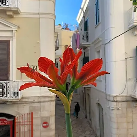 Bed and Breakfast Le Marinelle Collection Trani